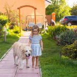 Der Hund als Babysitter